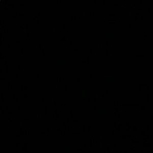 Meet your Posher, Daniela